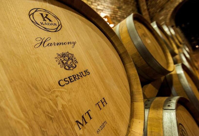 ベッドアンドブレックファースト Vulcano Guesthouse