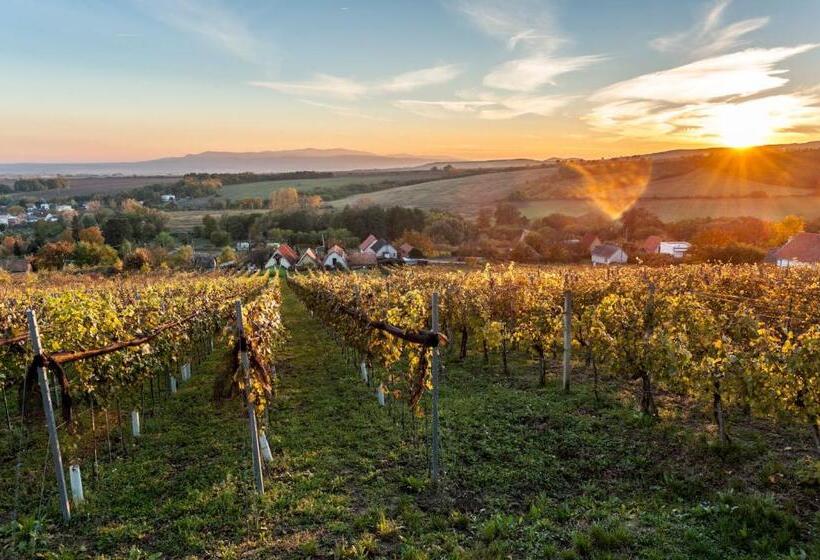 민박 Vulcano Guesthouse