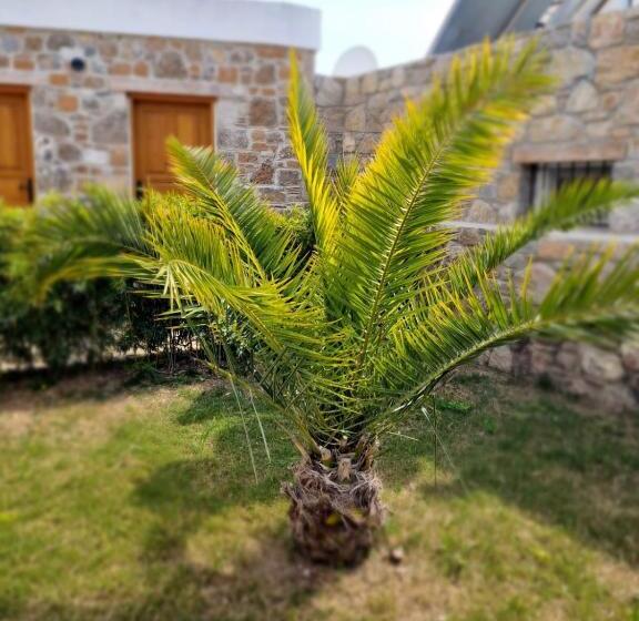 בית מלון כפרי Madran Evi