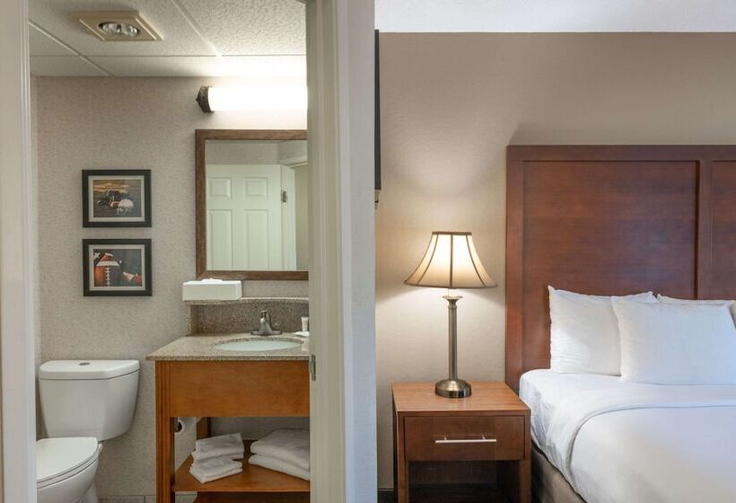 فندق Comfort Inn Foxboro   Mansfield