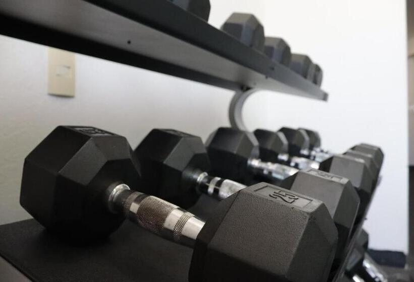 Отель México Plaza Irapuato