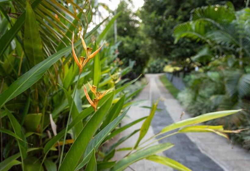 פנסיון Fab   Bamboo Hut With Open Shower