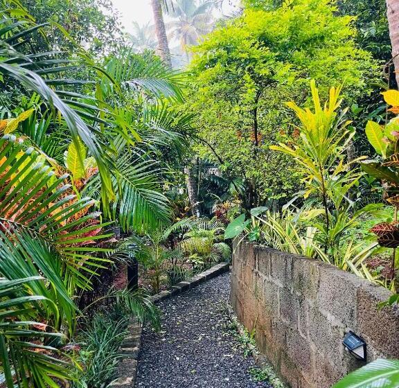 פנסיון Fab   Bamboo Hut With Open Shower