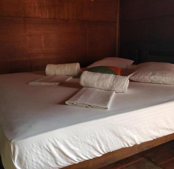 فندق صغير Rainforest View Hostal And Rainforest Tours