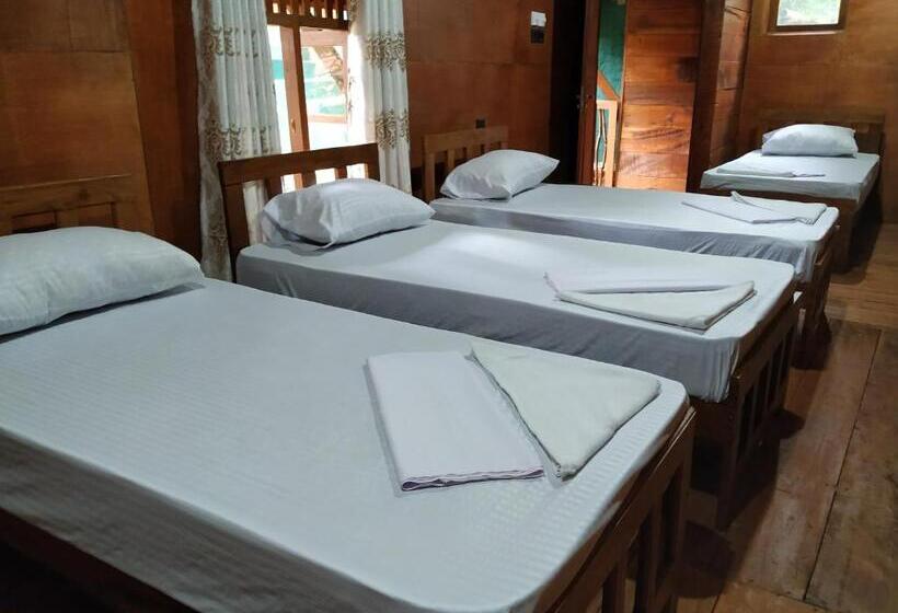 فندق صغير Rainforest View Hostal And Rainforest Tours