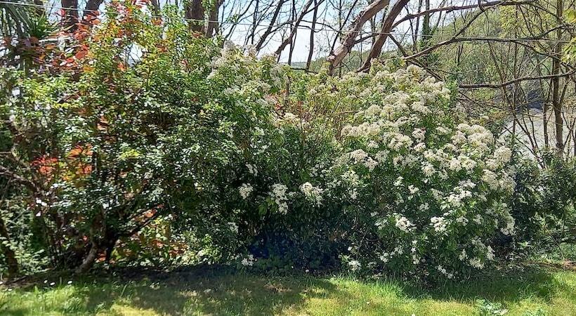 민박 Ardsallagh Lodge