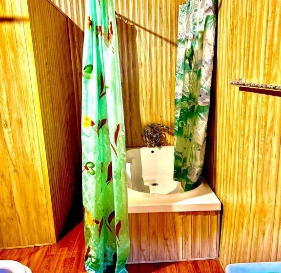 住宿加早餐  Houseboat New Mexico