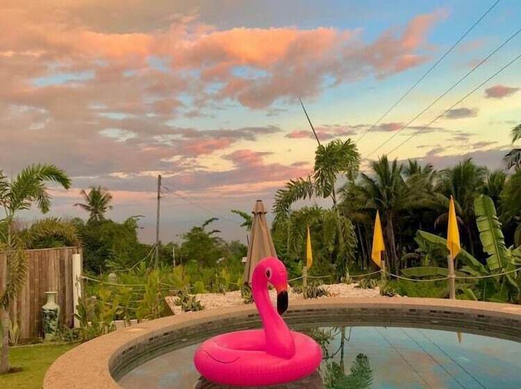 Bed and Breakfast Kalipay Bungalows