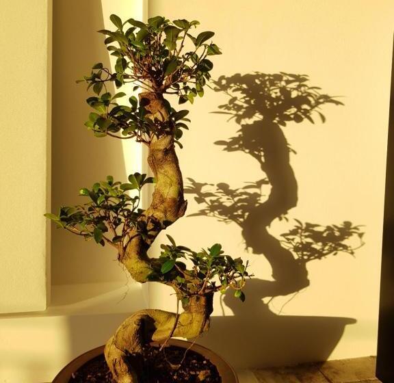 تختخواب و صبحانه Les Balcons Du Trégor