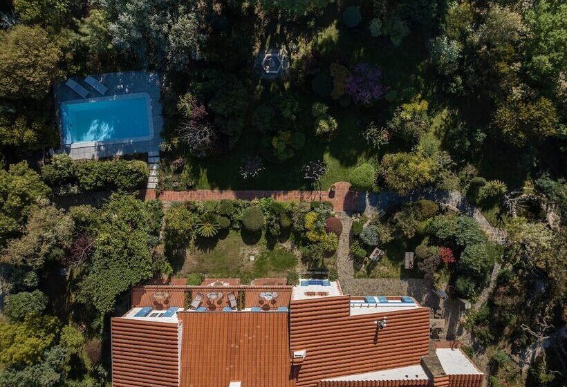 Bed and Breakfast Mas Del Flor