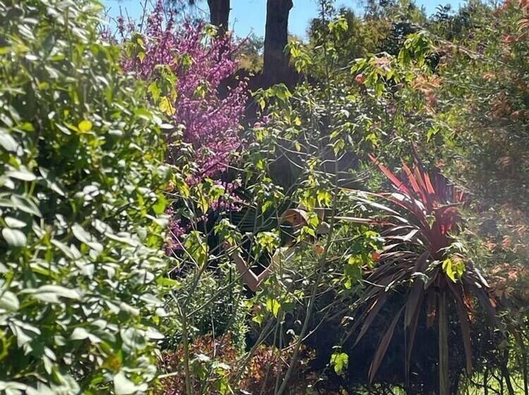 Bed and Breakfast Mas Del Flor