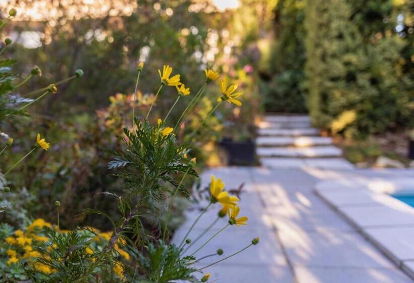 Bed and Breakfast Mas Del Flor