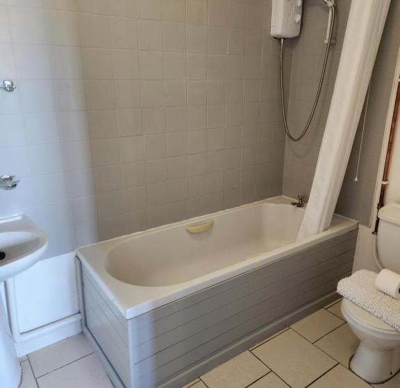 فندق The Ship Inn