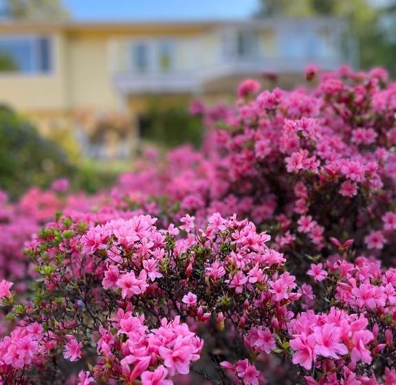 Пансион The Rhodo Place