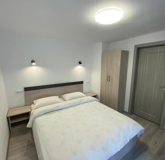 Pensiunea Carmen Borșa