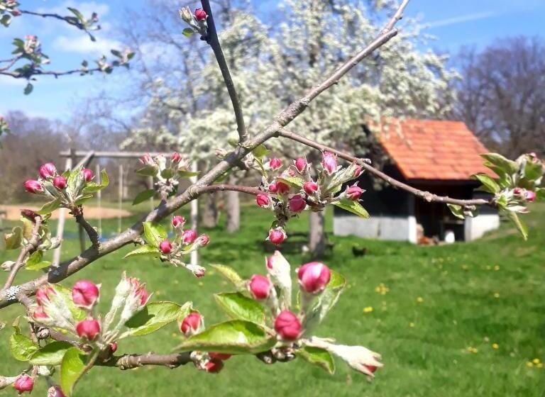 تختخواب و صبحانه Houterhoeve