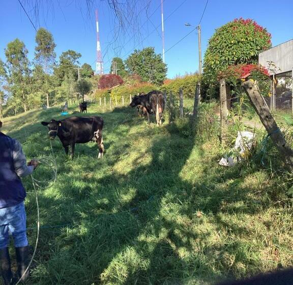 בית מלון כפרי Las Hamacas