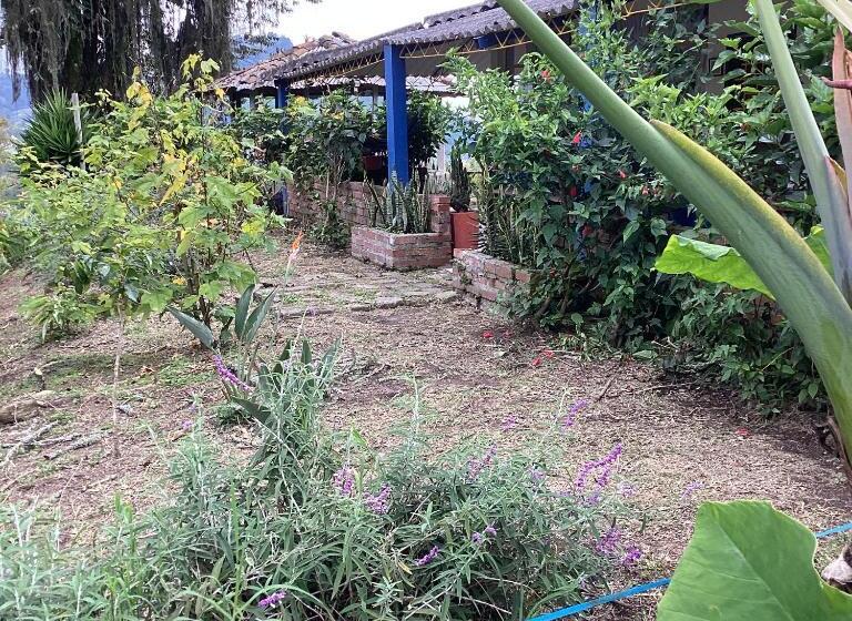 בית מלון כפרי Las Hamacas