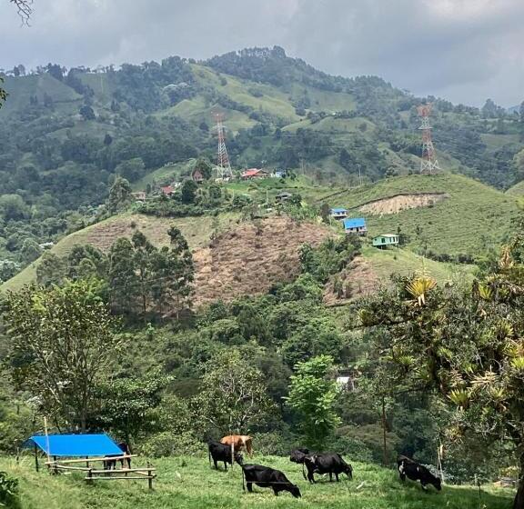 בית מלון כפרי Las Hamacas