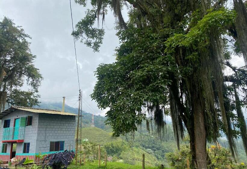 בית מלון כפרי Las Hamacas