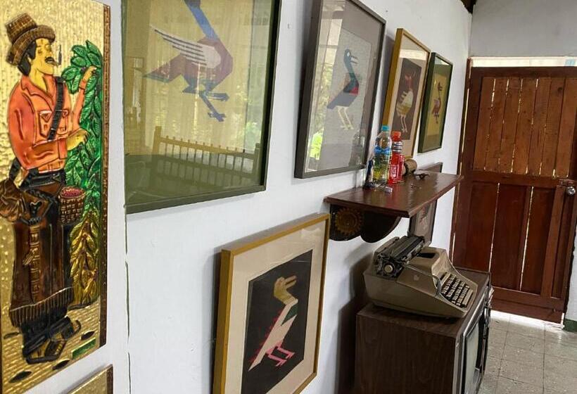 בית מלון כפרי Las Hamacas