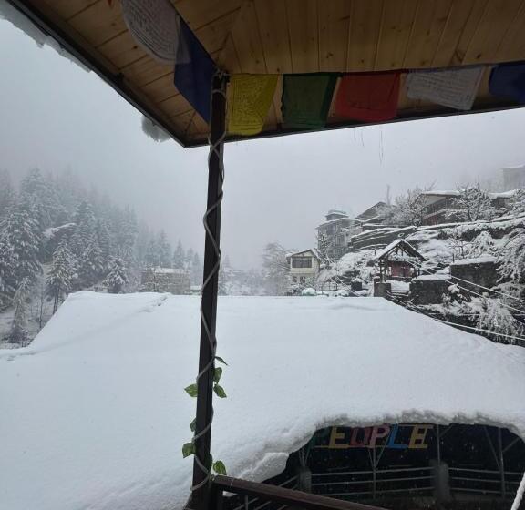 هتل The Cosmic Rajasthan