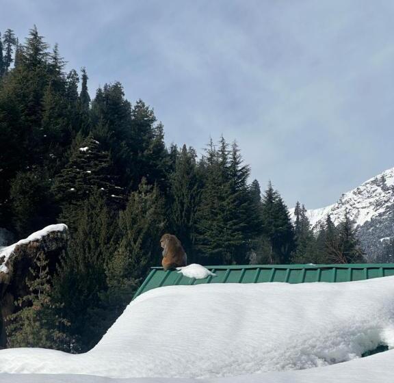 هتل The Cosmic Rajasthan