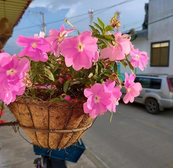 펜션 Hostal Casa Madrigal