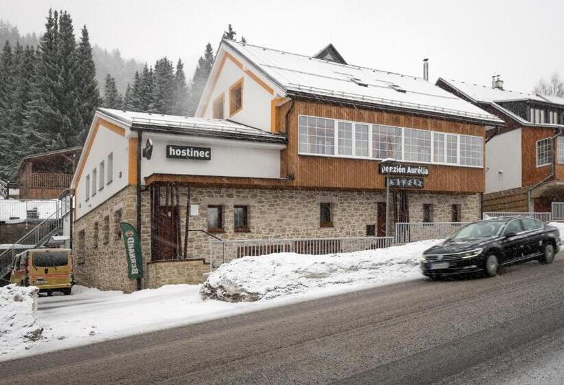 膳宿费 Penzion Aurelia Donovaly