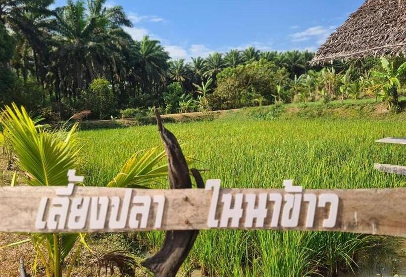 منتجع Phonphusang Utopia Farmstay
