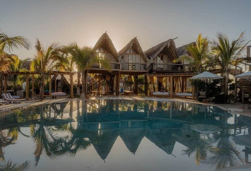 Baja Nomads Hotel   Adults 15 Plus