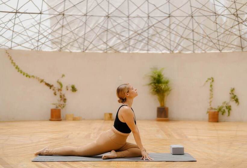 Baja Nomads Hotel   Adults 15 Plus