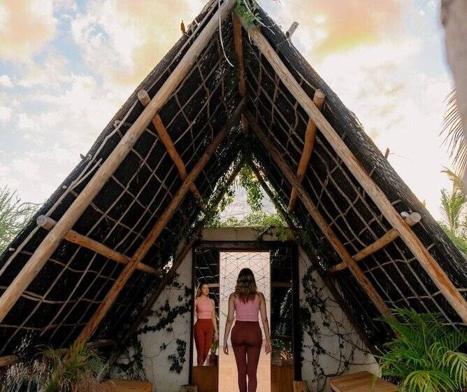 Baja Nomads Hotel   Adults 15 Plus