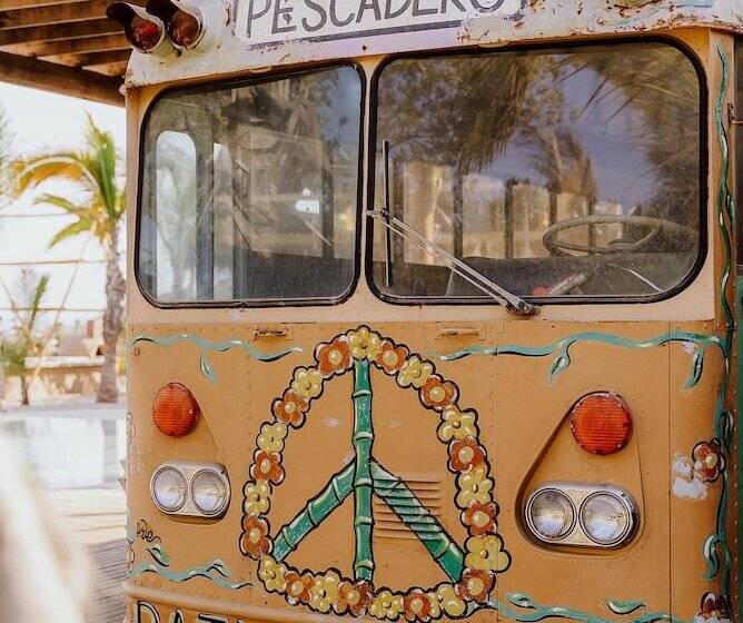 Baja Nomads Hotel   Adults 15 Plus