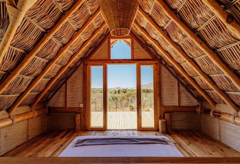 Baja Nomads Hotel   Adults 15 Plus