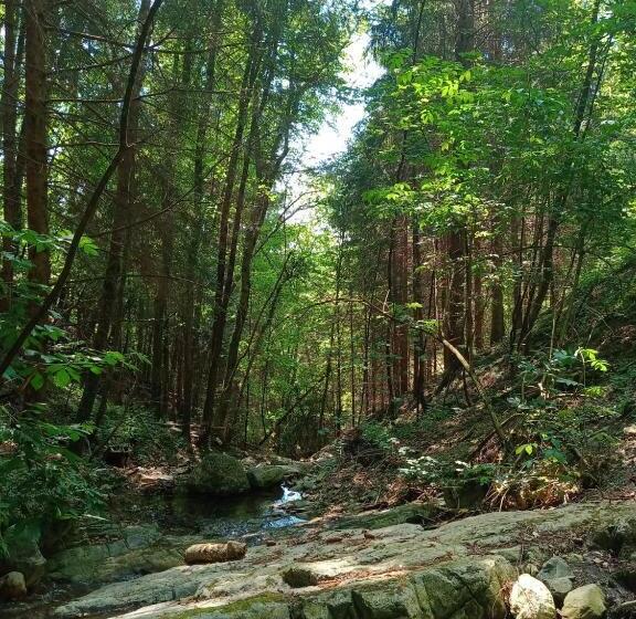 민박 Il Giardino Di Crès