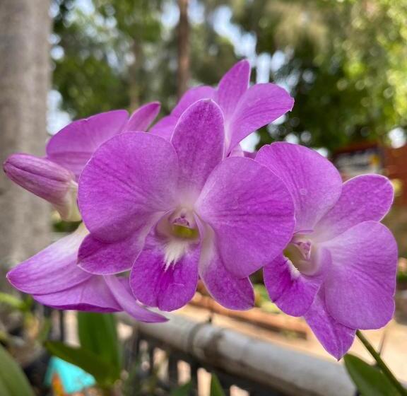 호텔 คีรีเฮ้าส์