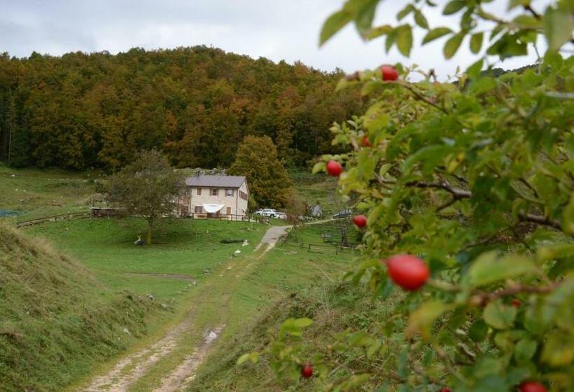 فندق Agribed Quierta   Camere Matrimoniali