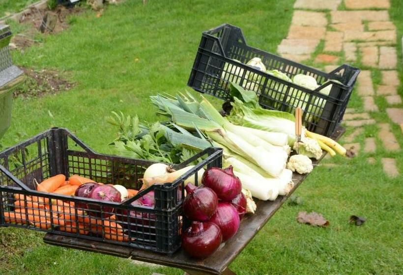 فندق Agribed Quierta   Camere Matrimoniali