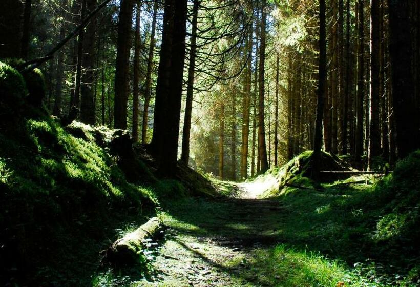 בית מלון כפרי Agribed Quierta   Camere Matrimoniali