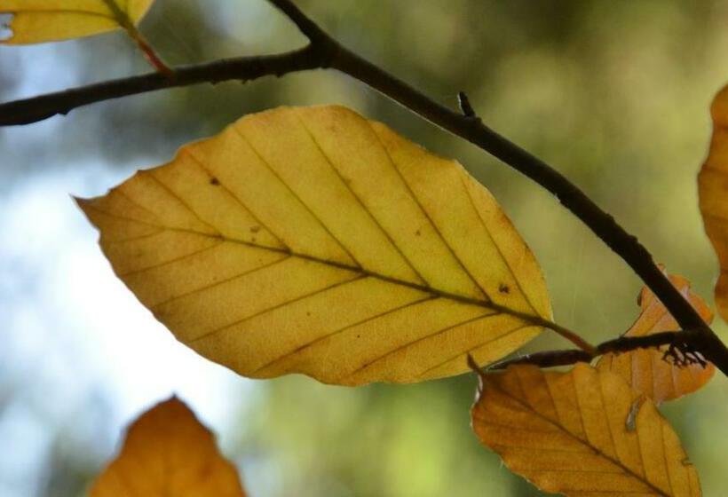 酒店 Agribed Quierta Camere Matrimoniali