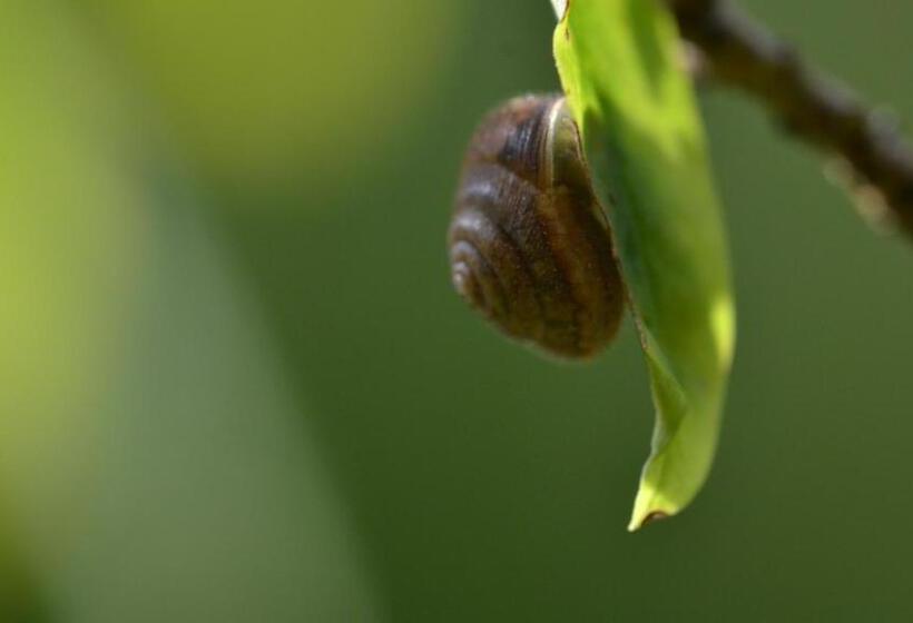 فندق Agribed Quierta   Camere Matrimoniali