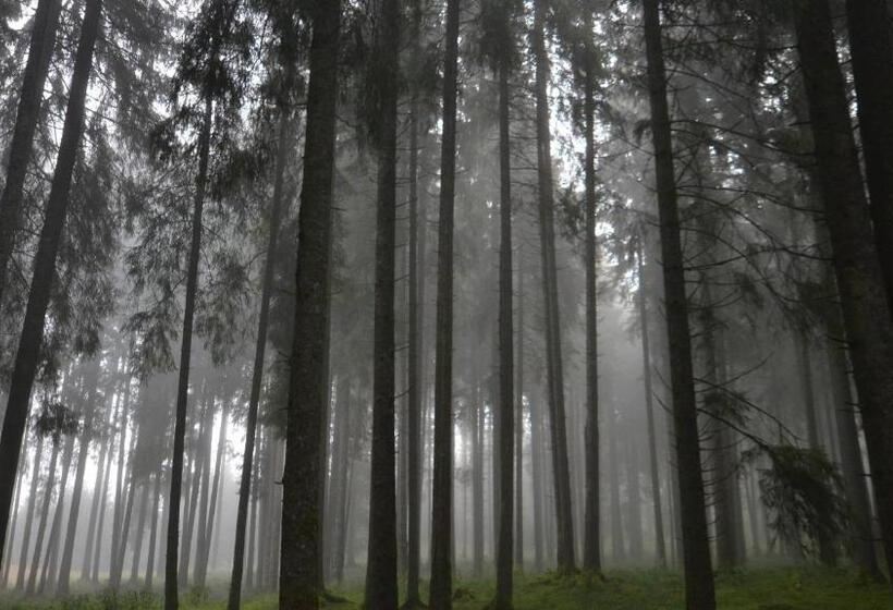 فندق Agribed Quierta   Camere Matrimoniali