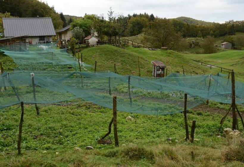 فندق Agribed Quierta   Camere Matrimoniali