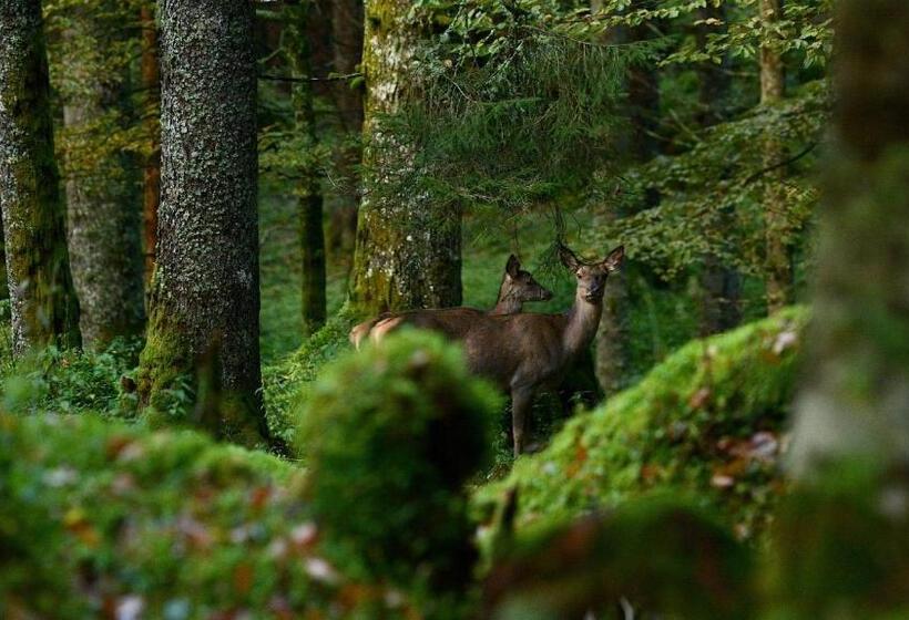 فندق Agribed Quierta   Camere Matrimoniali