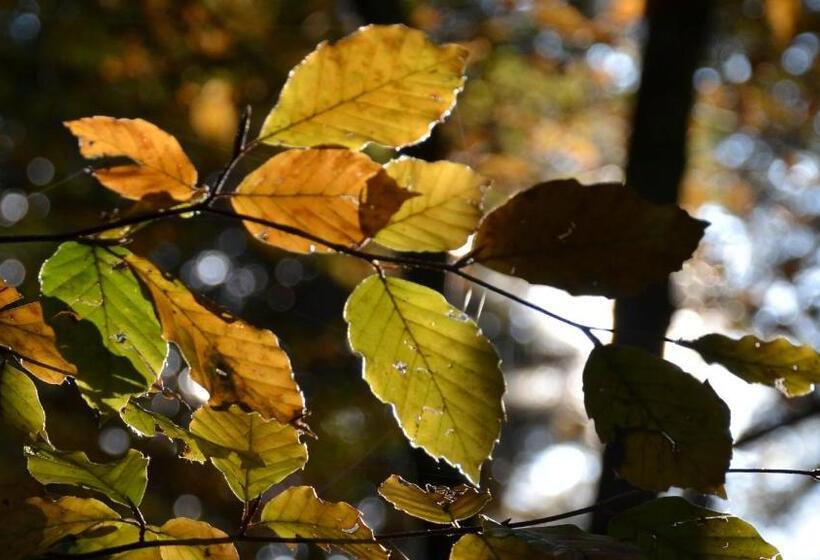 فندق Agribed Quierta   Camere Matrimoniali