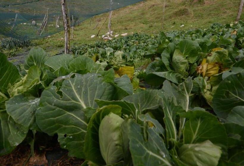 فندق Agribed Quierta   Camere Matrimoniali