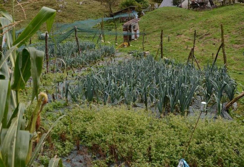 בית מלון כפרי Agribed Quierta   Camere Matrimoniali