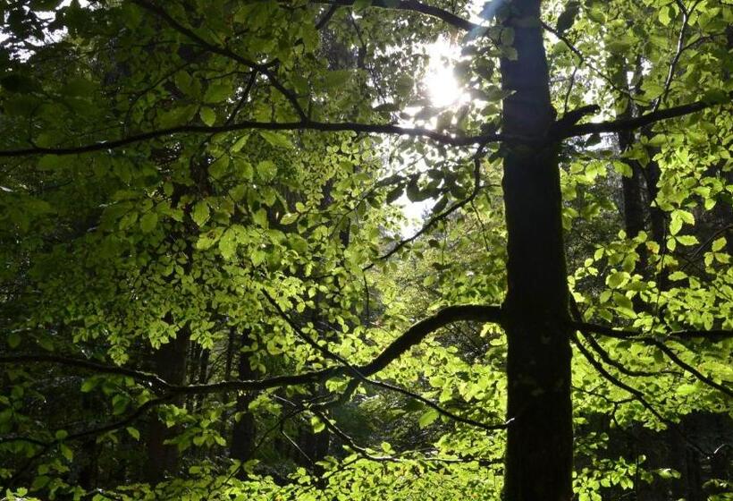 فندق Agribed Quierta   Camere Matrimoniali