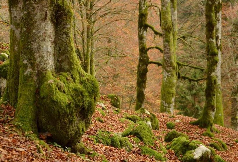 فندق Agribed Quierta   Camere Matrimoniali